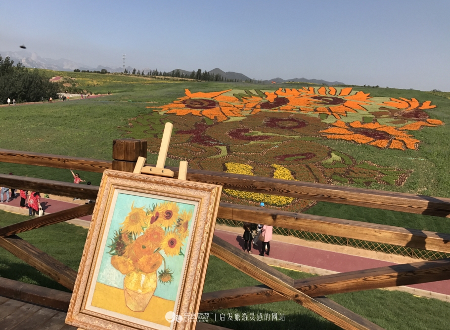 秦皇岛市海港区怎么成了“朝颜”？