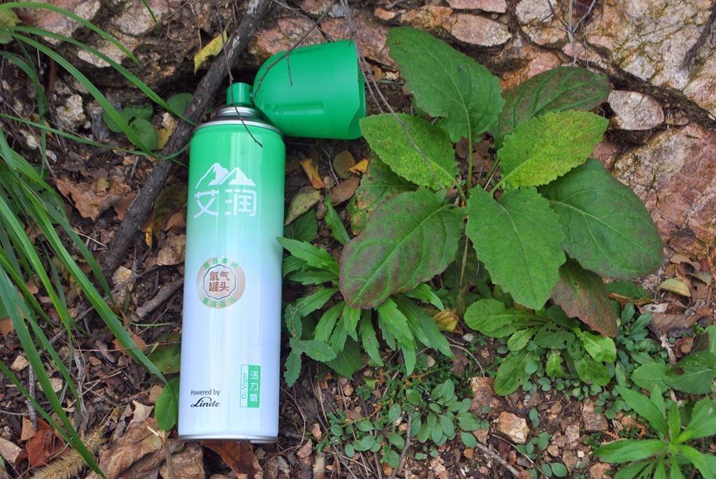 引领氧气呼吸新时代——艾润（Arooxy）活力氧（氧气罐头）山野小测