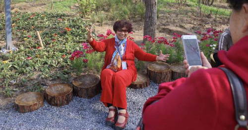 北京城市副中心腾退土地,北京城市职能疏解