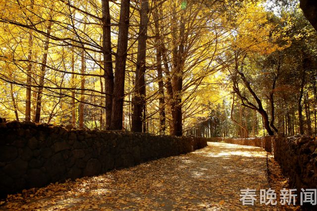 腾冲旅居康养度假区,腾冲旅游发展总体规划