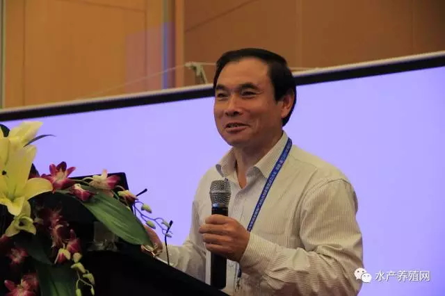 一半以上鳗鱼靠出口，被誉为“水产领域研究最后的一个大金矿”，繁华背后却有隐患