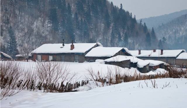 养生知识手脚冰凉,健康手脚冰凉一招搞定