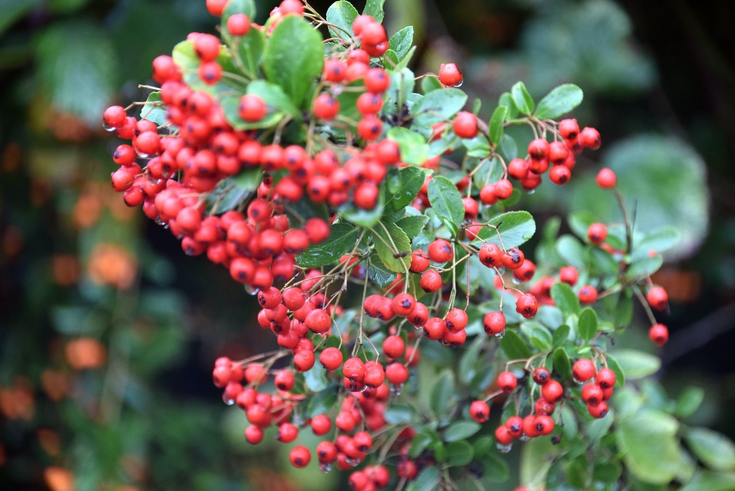 英国著名的城堡有哪些,英国城堡多少年了