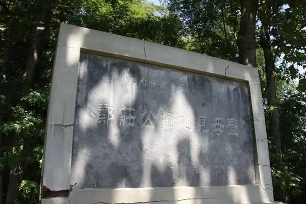 这些令人不可思议的冷知识,这些奇特的冷知识你们知道吗