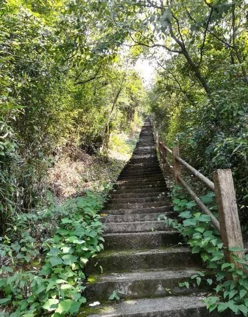 走不完的山川大地,走不完的川西看不完的美景