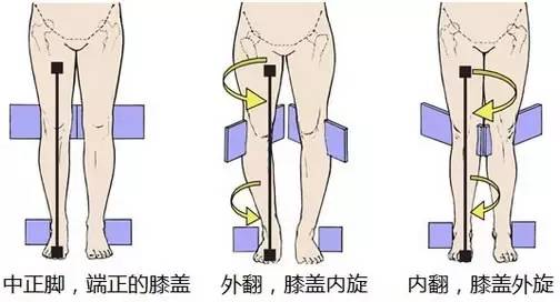 日本小姐姐为什么这么好看,日本小姐姐为什么腿粗