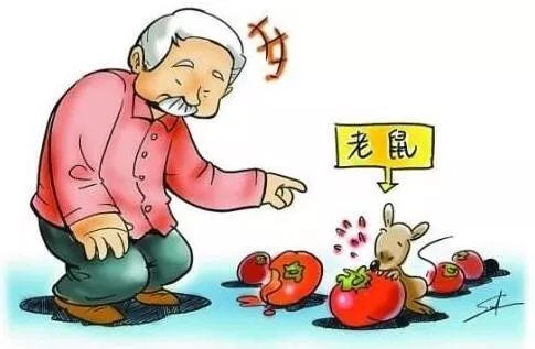 扩散周知疫情期间这些药不能停,扩散周知这七种药品请坚持服用