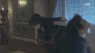 拯救剧荒排行榜,拯救剧荒的电视剧推荐