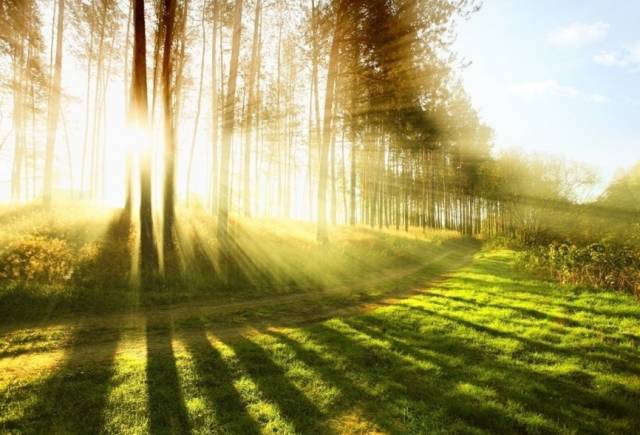 养生知识手脚冰凉,健康手脚冰凉一招搞定