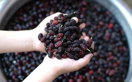 常吃这五种食物皮肤又白又嫩,吃什么食物美白皮肤最有效