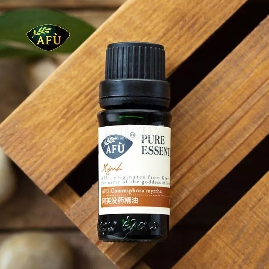 瀹犵矇鐙傞瓟鏂版涓婃柊,瀹犵矇鐙傞瓟涓婄嚎