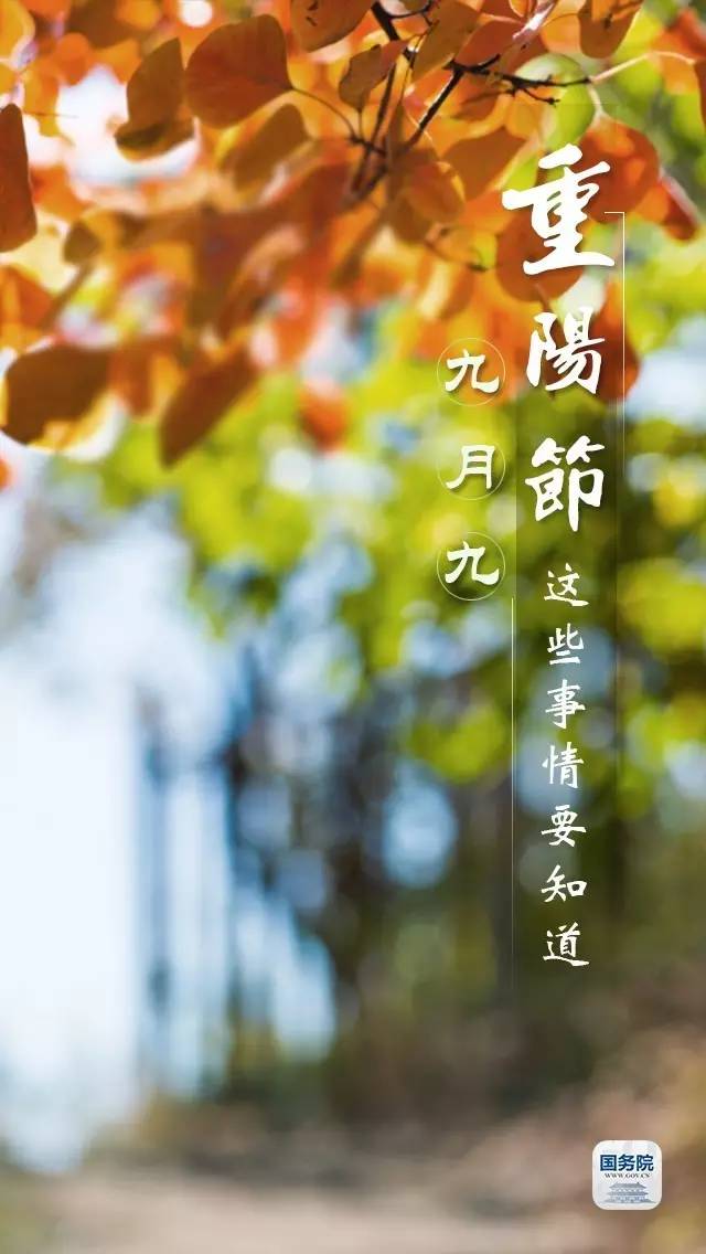 九月重阳节最新消息,九月九重阳节注意些什么