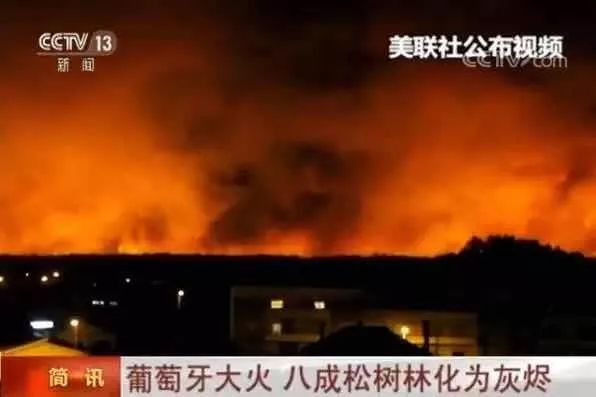 娌抽暱鍚嶅崟鍏憡,娌抽暱鍚嶅崟鍏ず