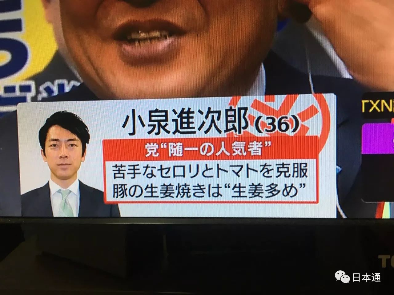 日本参院选举候选人,日本历次众院选举结果