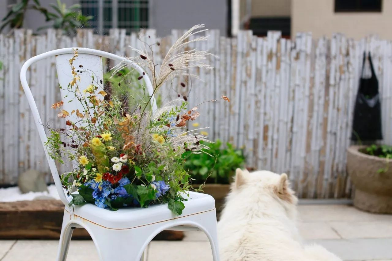 花田里逛了3小时，花材、花束、年度美照都有了
