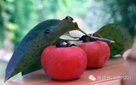 霜降季哪些疾病高发期,霜降到了要注意什么