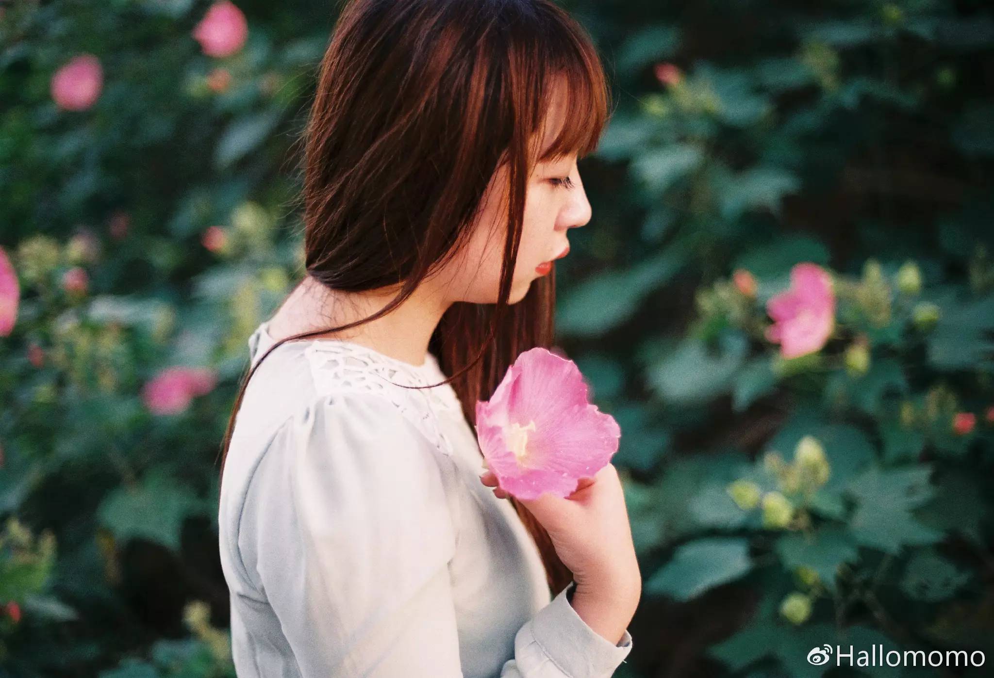 中画幅胶片机推荐,有哪些值得买的胶片机