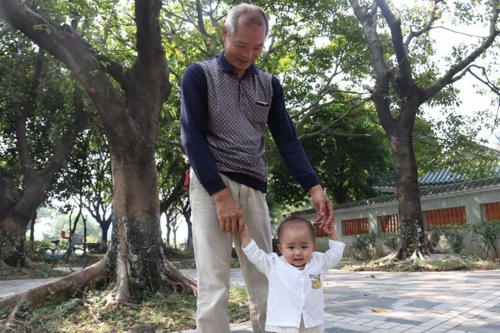 「村居行」荷叶田田，古韵悠扬！寻访禅城这条古村，沉醉不知归路