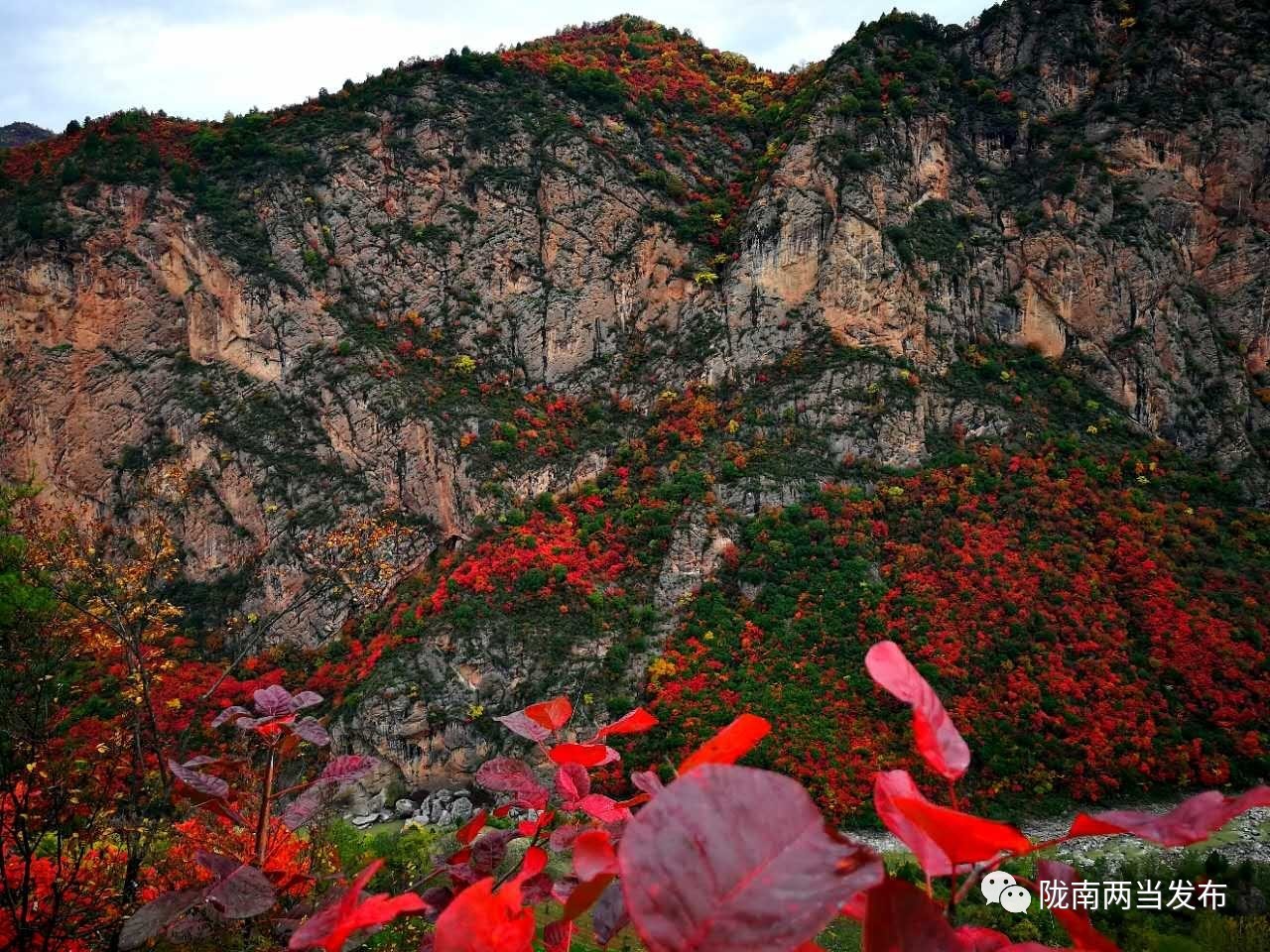 回顾2023年太极拳公开赛,第二届太极拳邀请赛