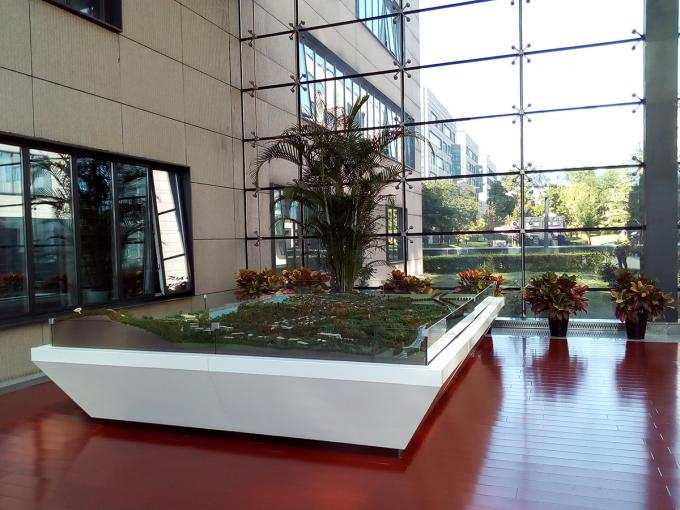 荣耀畅玩6拍照效果怎么样,荣耀畅玩6参数配置信息