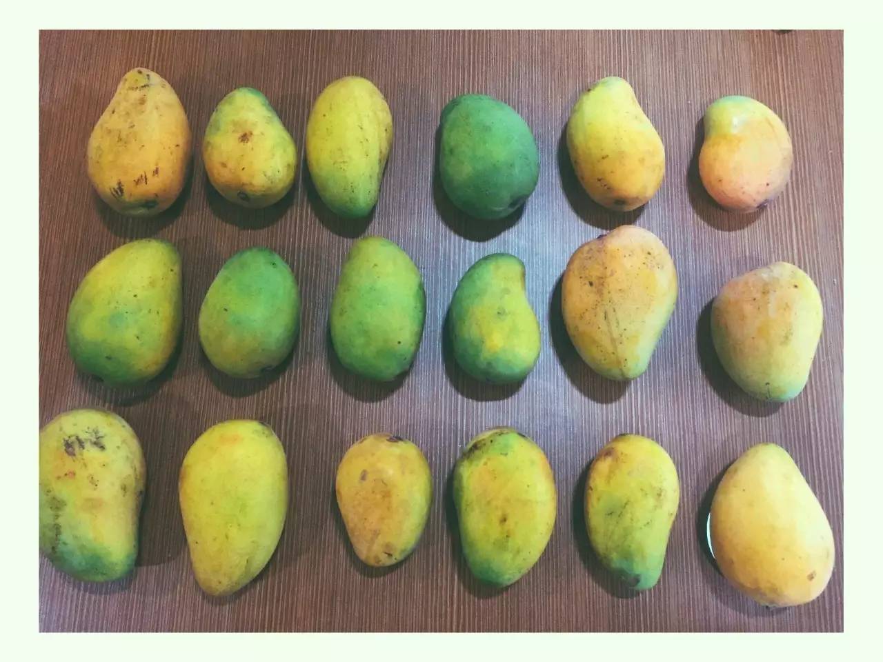 果园免费试吃大全,2019果园免费试吃