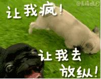 我想告诉你一个小秘密,你过来我给你说一个秘密图片