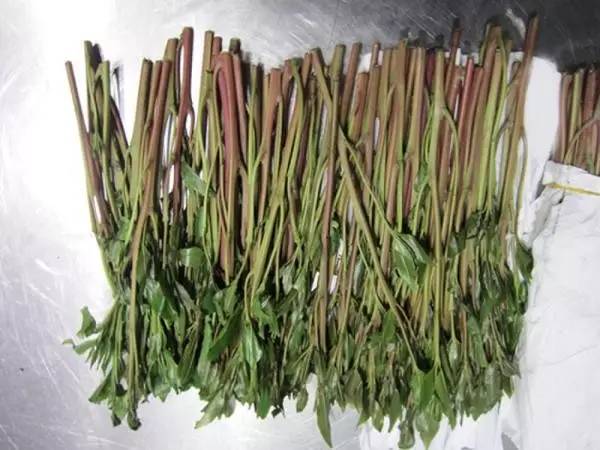 警惕毒品伪装成的烟,警惕毒品可能伪装成奶茶可乐