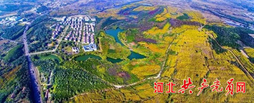 沙河栾卸银杏林夏天好玩吗,沙河栾卸银杏林景区