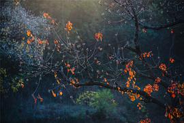 广播文章精选唯美,广播稿精选100字