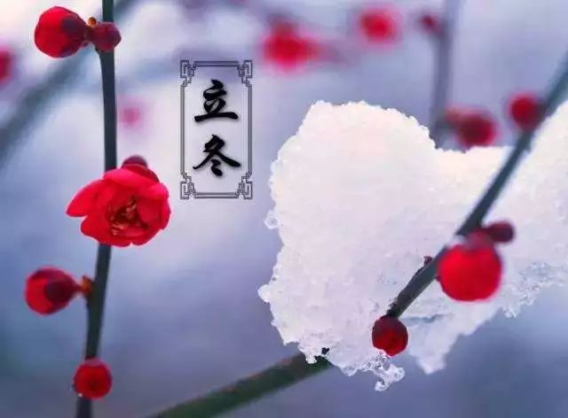 今日立冬品读最美的十首节气诗词,节气物语今日立冬