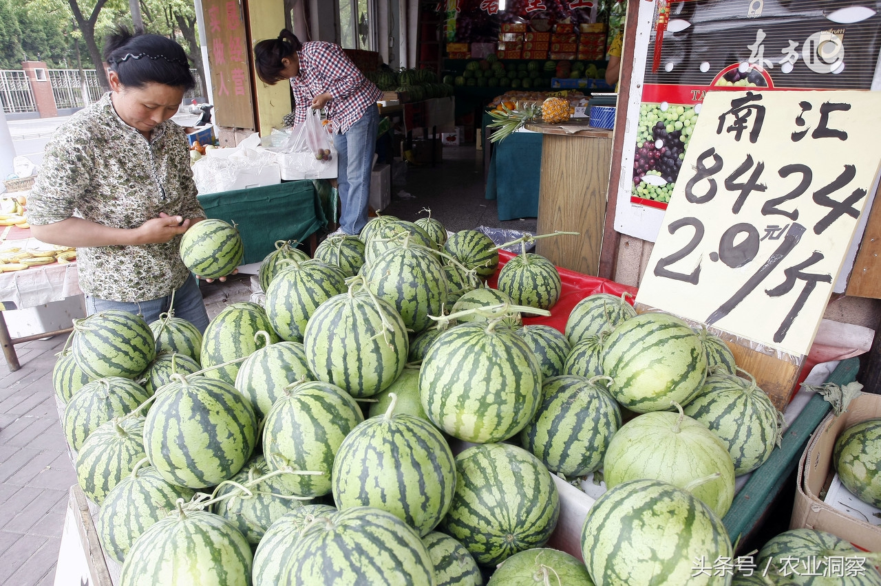 各地西瓜价格最新行情,2023西瓜行情实时报价