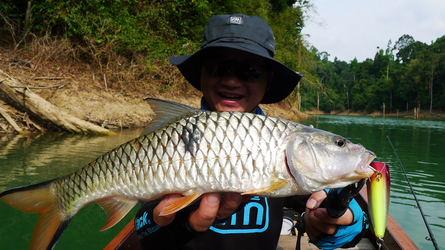 不一样的钓鱼,不一样的食肉鱼
