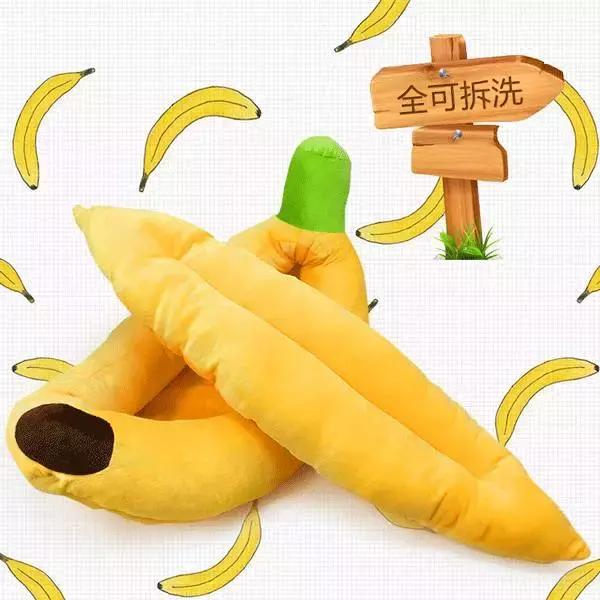 最好看的狗狗床,夏季狗专用床