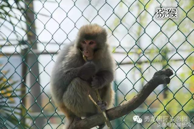 来扬州必买饰品,来扬州别错过的打卡地