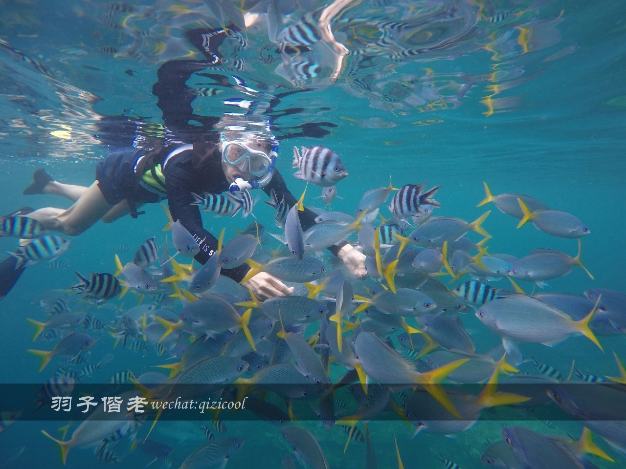 帕劳旅行真实感受,三次帕劳是一种什么体验