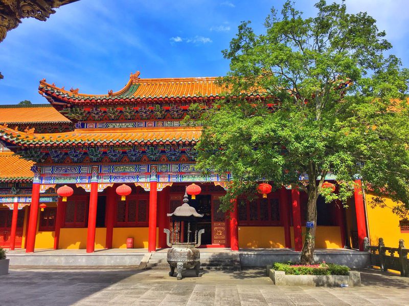 一场说走就走暑假旅行,一场说走就走的旅行来了