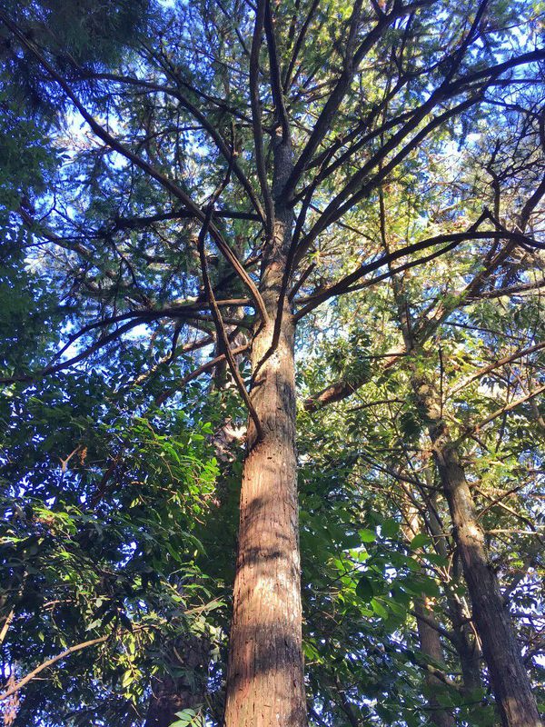 一场说走就走暑假旅行,一场说走就走的旅行来了
