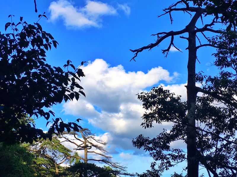 一场说走就走的夏日旅游,一场说走就走的山水旅游