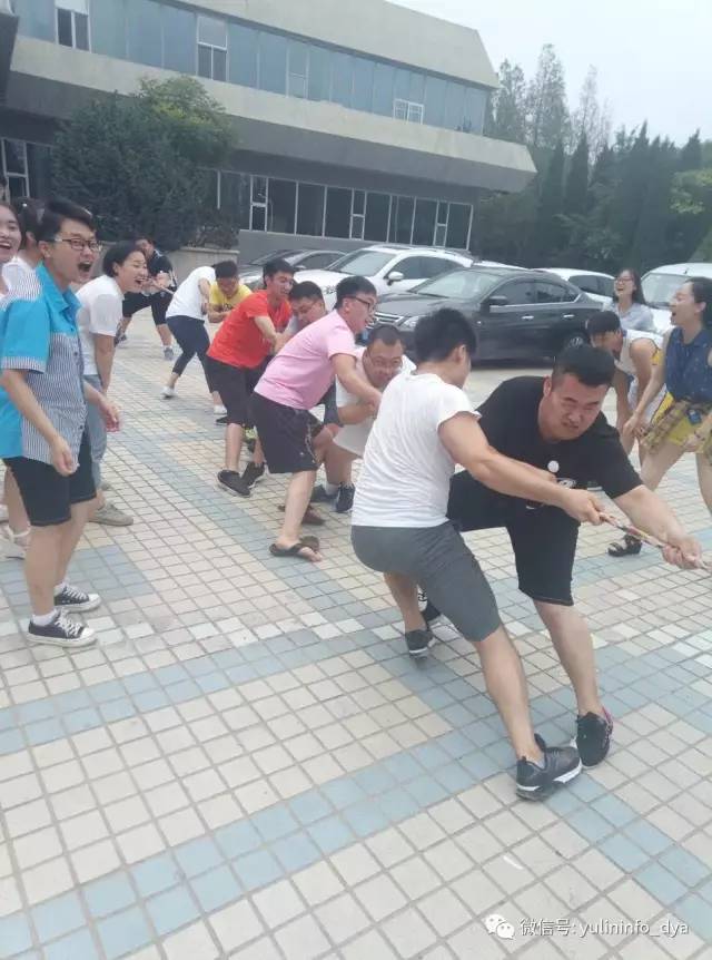 雨琳科技的程序猿们造作了!