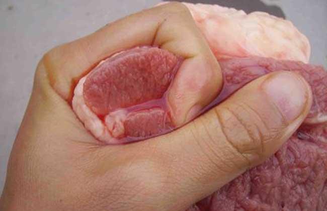 如何判断假货最简单的方法 (怎样鉴别买到的东西是不是假货)