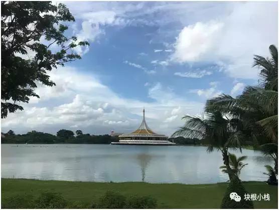 泰国多肉展会,仙人掌与多肉植物新品集粹