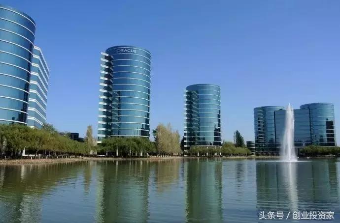 以干倒盖茨为乐,号召大学生退学……这个“混蛋”32岁前穷得被老婆甩,如今说要捐掉2000多亿身家!