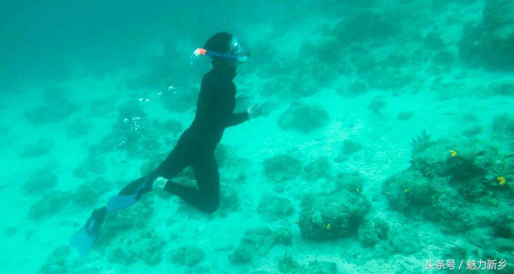 仙本那跳岛简介,仙本那跳岛图