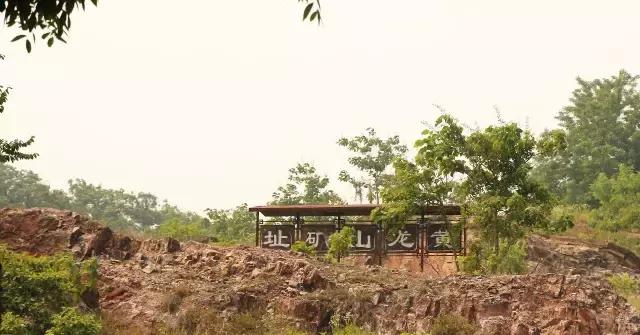 紫砂泥料的分类和品种,紫砂泥料的分类有哪些