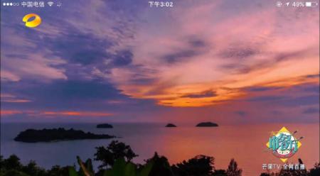 赵薇是个见过大世面的人吗,赵薇是一个很有头脑的女人