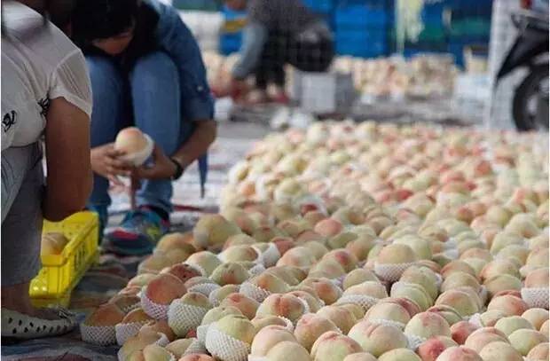 不是天生黑的被晒黑的怎么变白,如果不是天生黑是晒黑的该怎么办