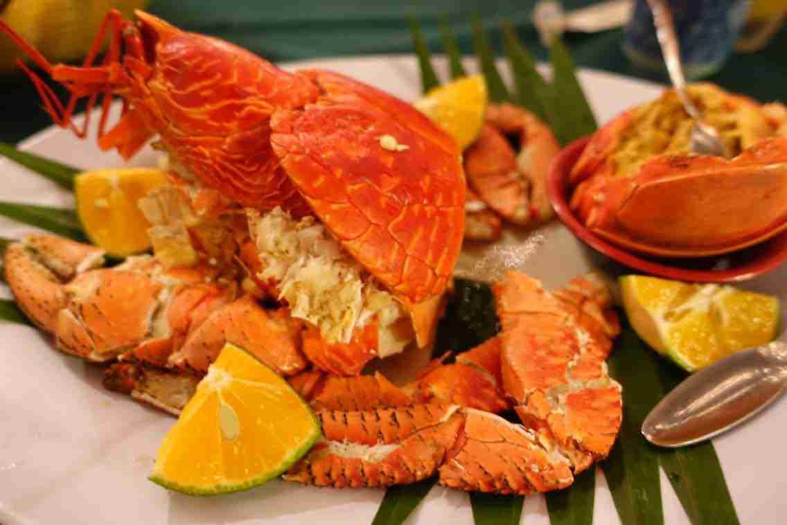 帕劳有什么玩的,帕劳出行攻略