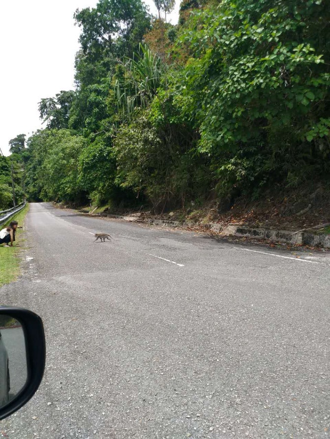 兰卡威一日游详细攻略,兰卡威3天2晚的自由行攻略