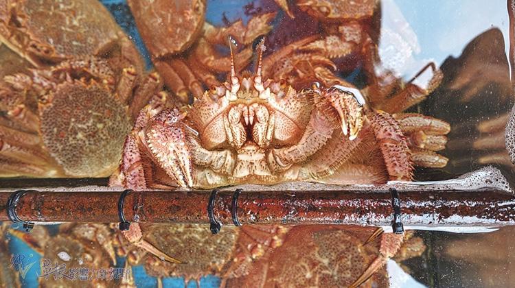 北海道函馆美铃咖啡,日本北海道函馆简介