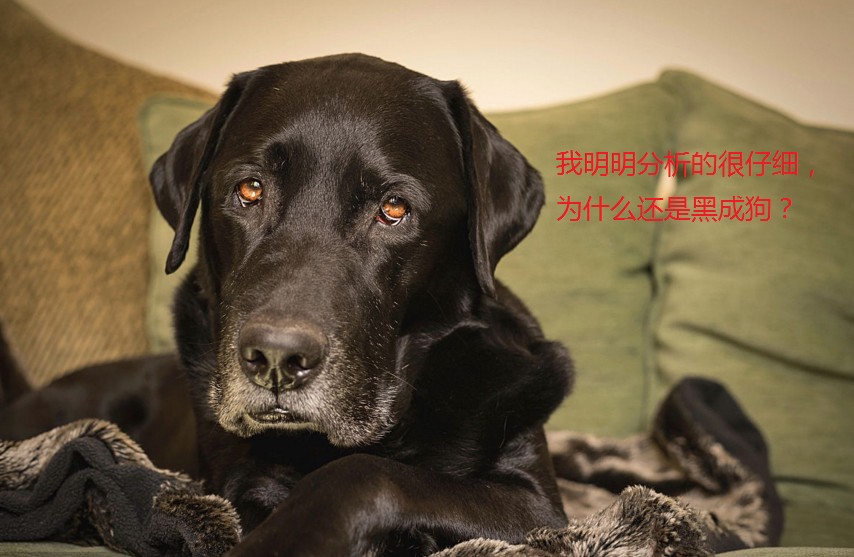 绿茵球场里的那点事,绿茵场上那些事